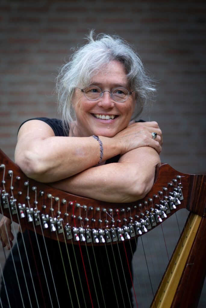 Muziekles en leer harp spelen in Heiloo